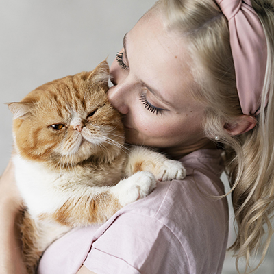 Amores Cat Spa Package