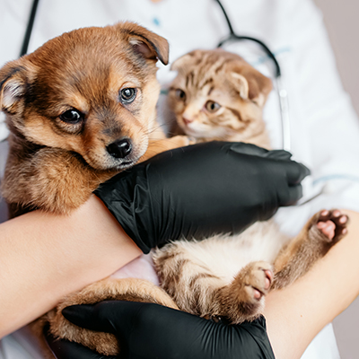 Special Treatments